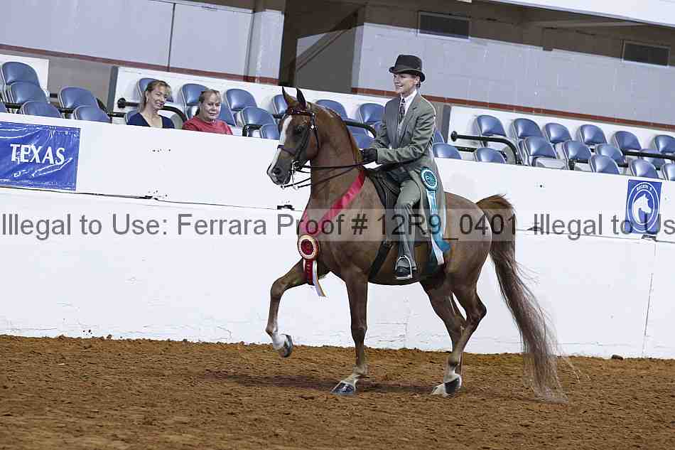 Proof Number 12r9_0401