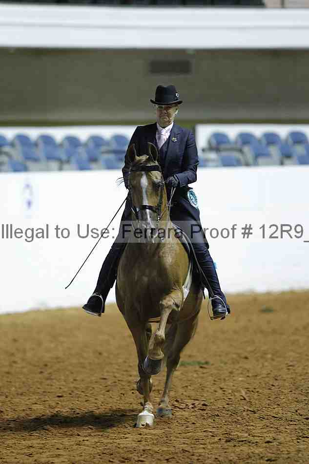 Proof Number 12r9_0403