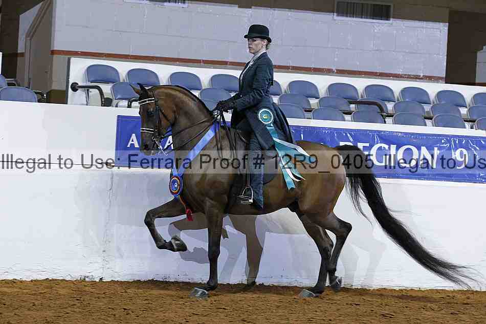 Proof Number 12r9_0405