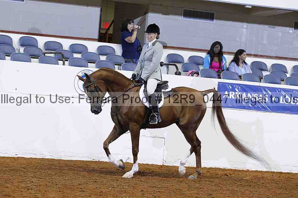 Proof Number 12r9_0447