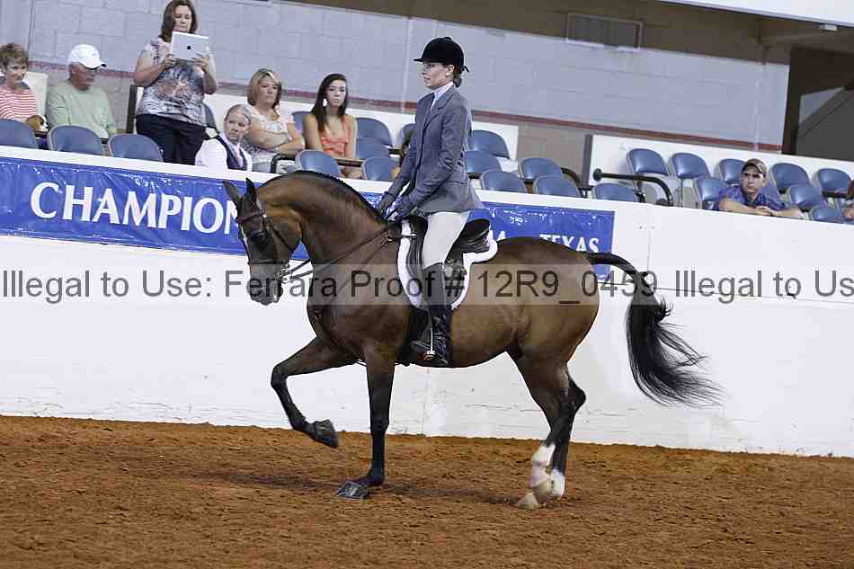 Proof Number 12r9_0459