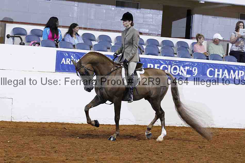 Proof Number 12r9_0464