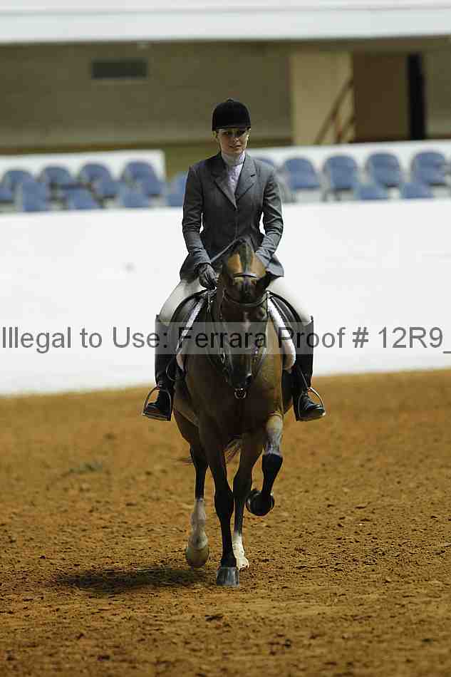 Proof Number 12r9_0465