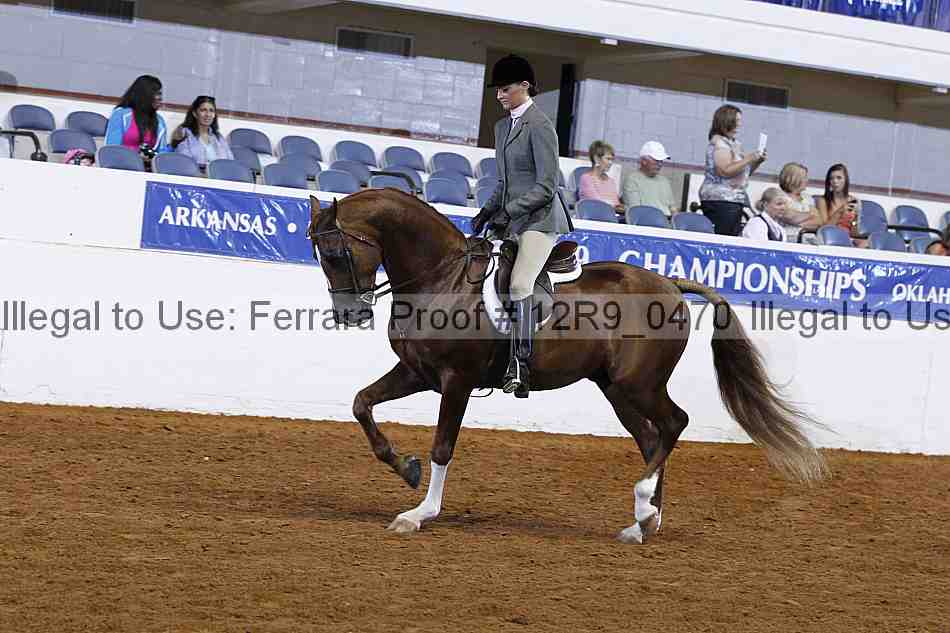 Proof Number 12r9_0470