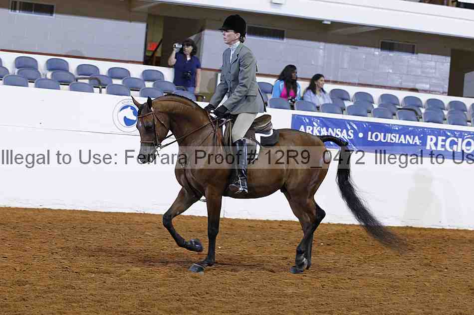 Proof Number 12r9_0472