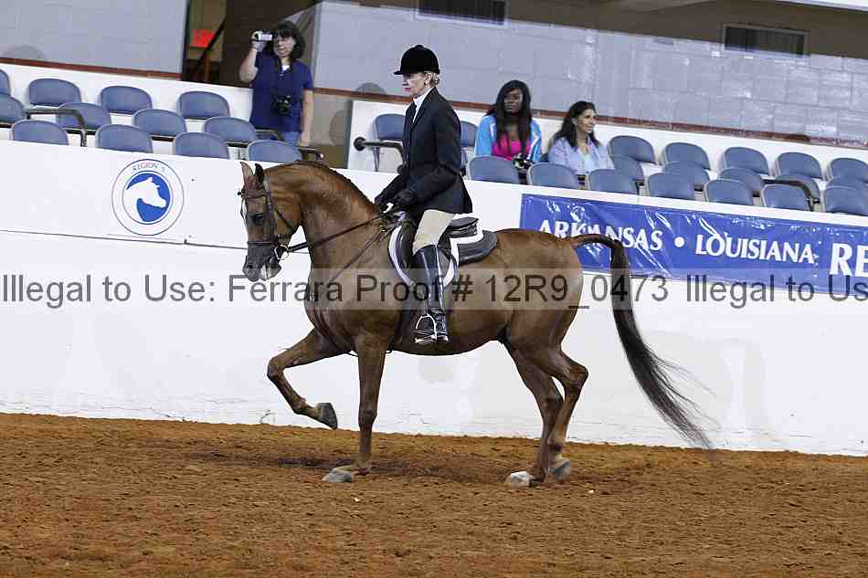 Proof Number 12r9_0473