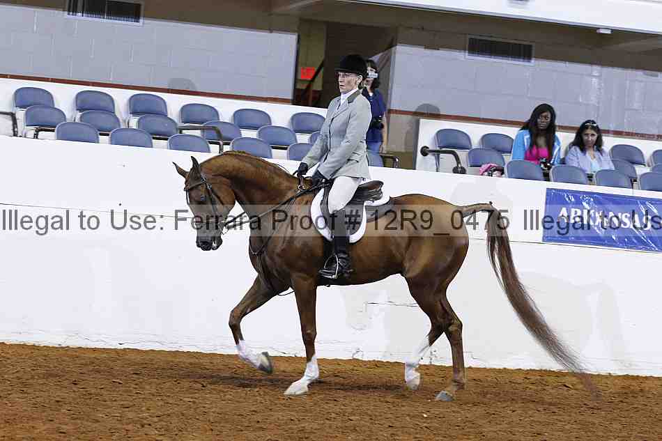 Proof Number 12r9_0475
