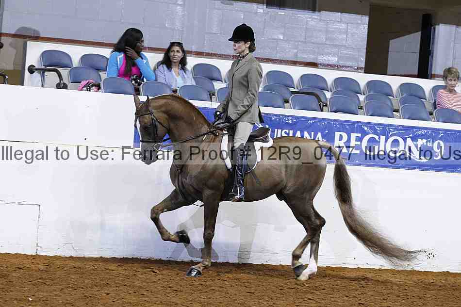 Proof Number 12r9_0477