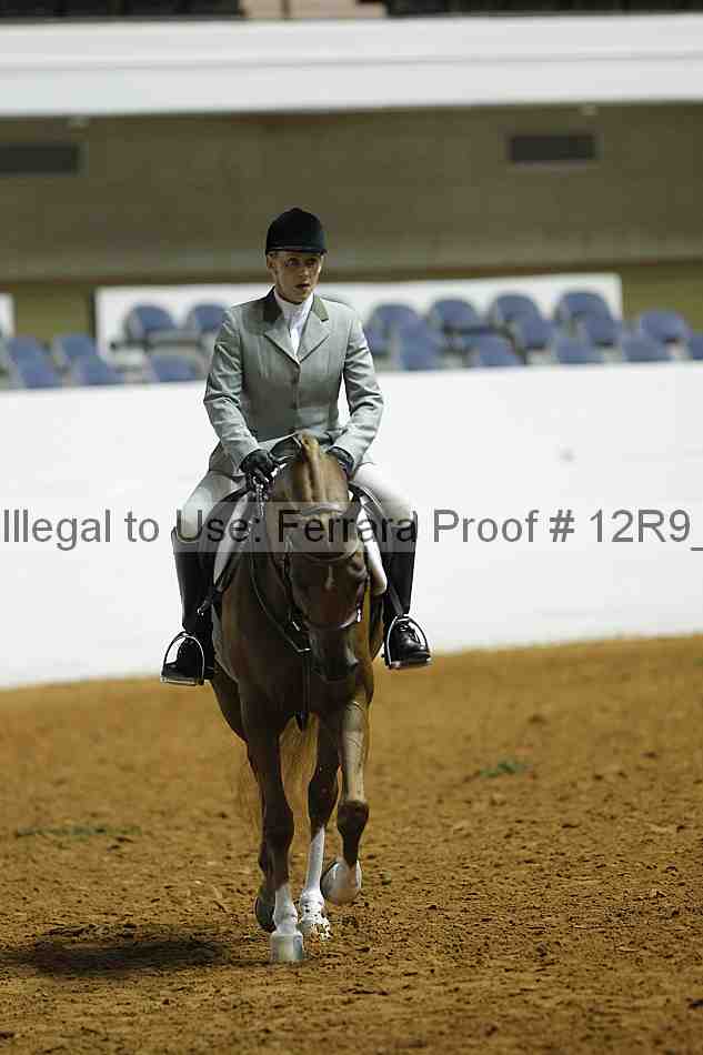 Proof Number 12r9_0478