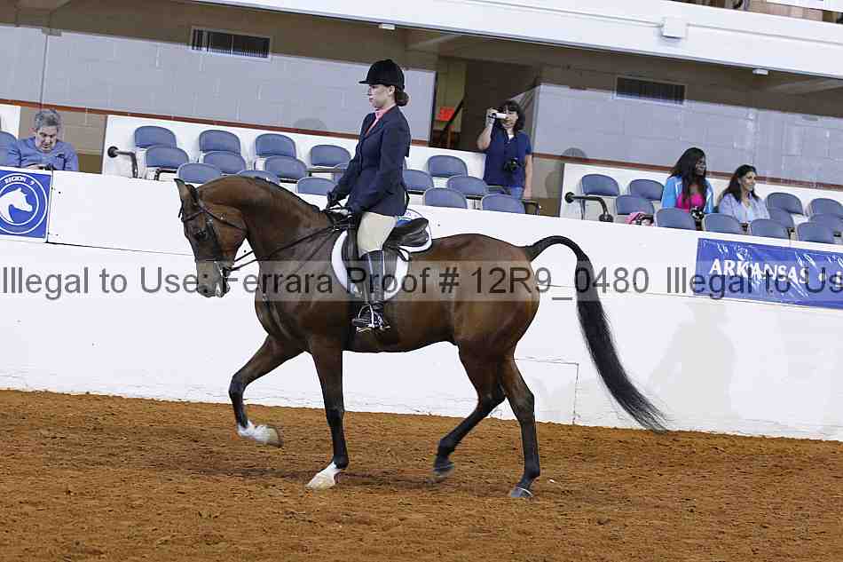 Proof Number 12r9_0480