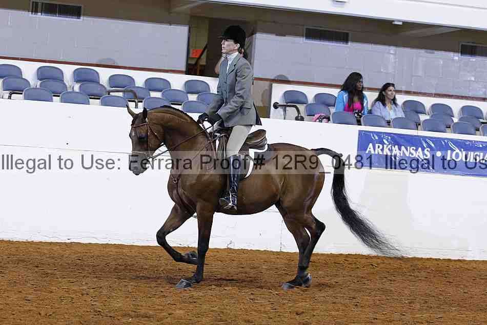 Proof Number 12r9_0481