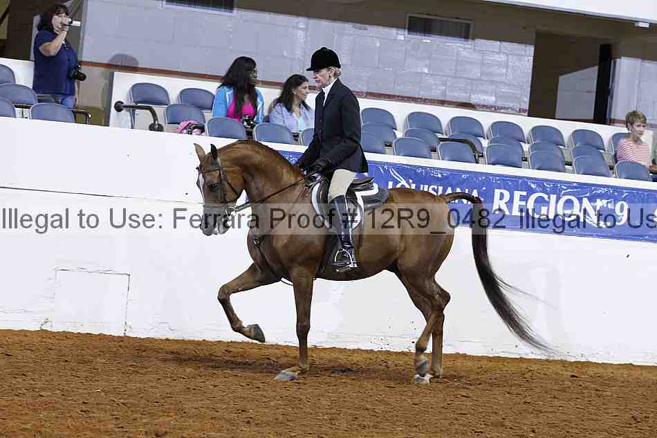 Proof Number 12r9_0482