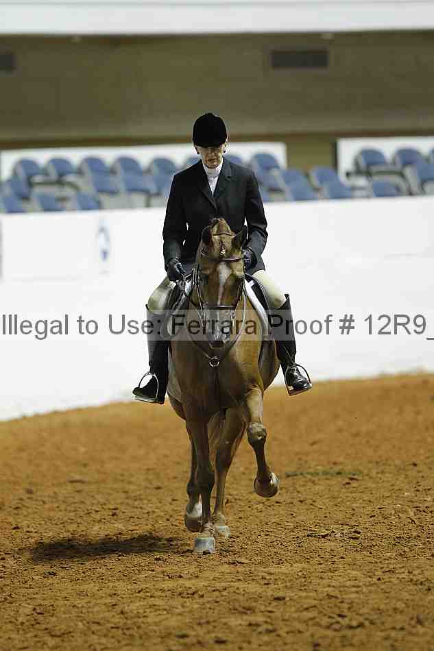 Proof Number 12r9_0486