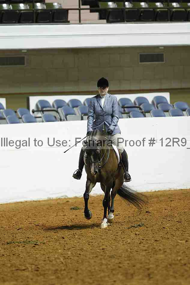 Proof Number 12r9_0488