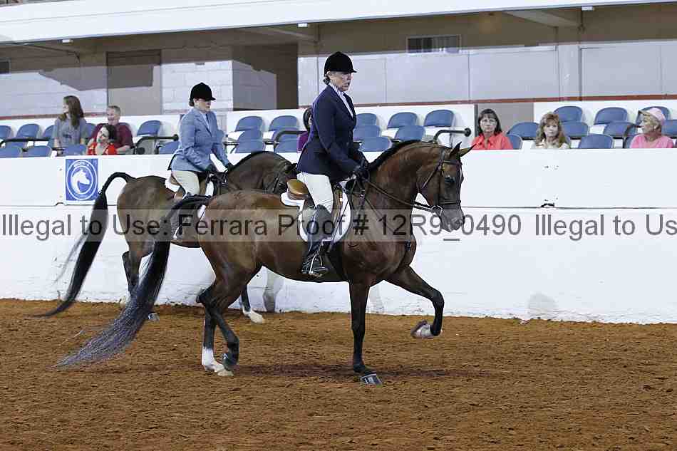 Proof Number 12r9_0490