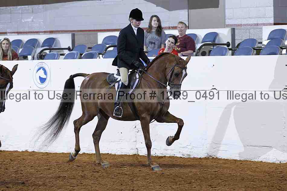 Proof Number 12r9_0491