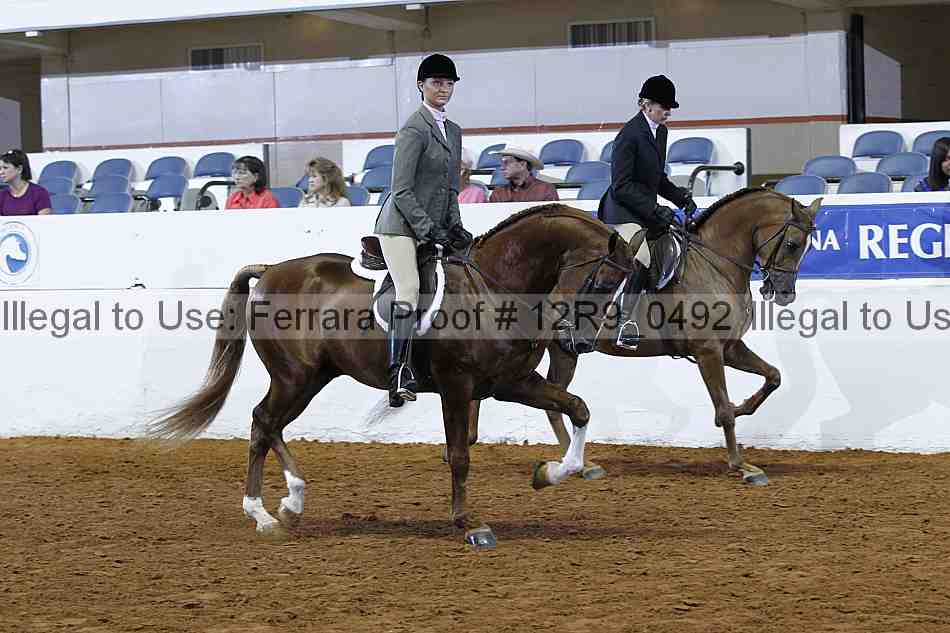 Proof Number 12r9_0492