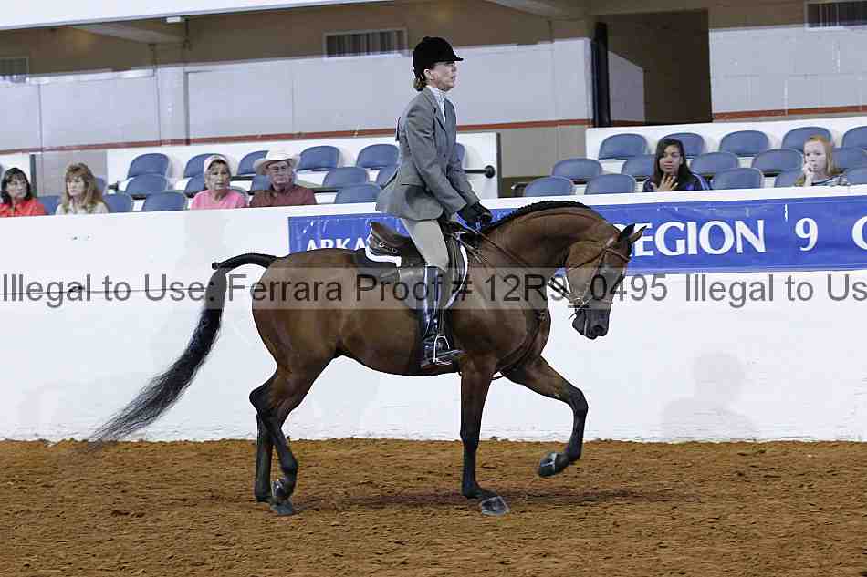 Proof Number 12r9_0495