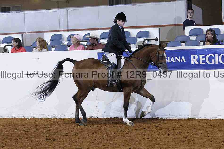 Proof Number 12r9_0497