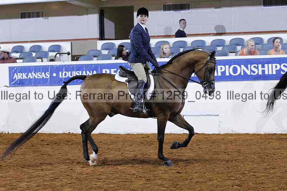 Proof Number 12r9_0498