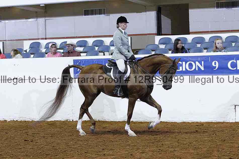 Proof Number 12r9_0499