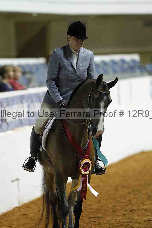 Proof Number 12r9_0506