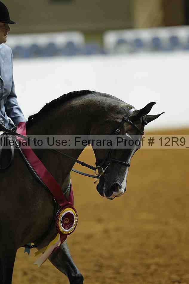 Proof Number 12r9_0507