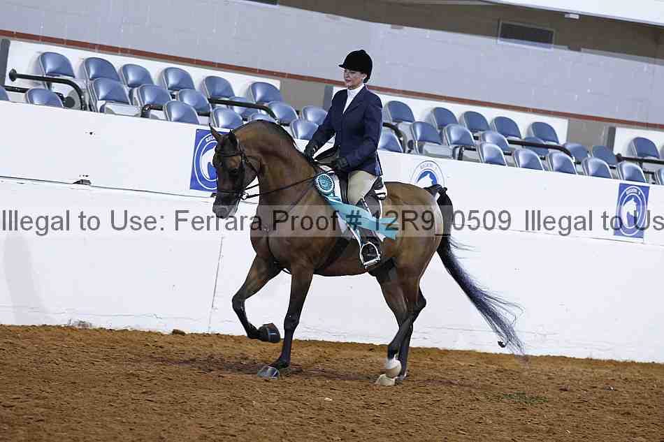 Proof Number 12r9_0509