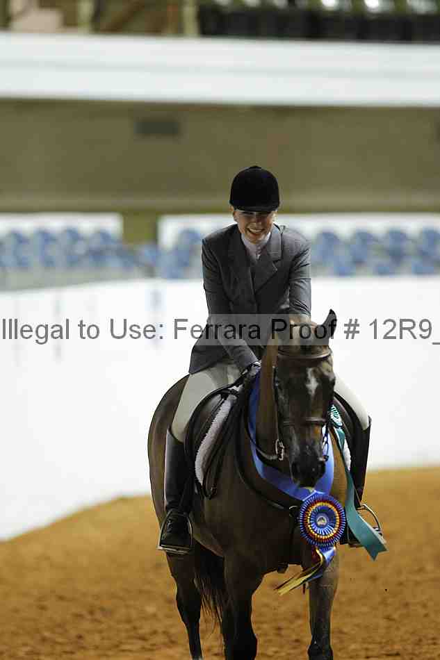 Proof Number 12r9_0517