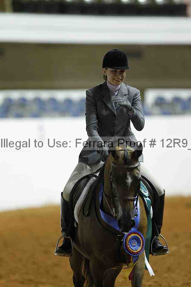 Proof Number 12r9_0519