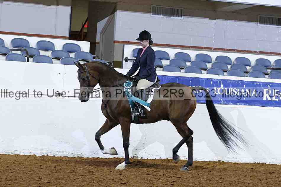 Proof Number 12r9_0523