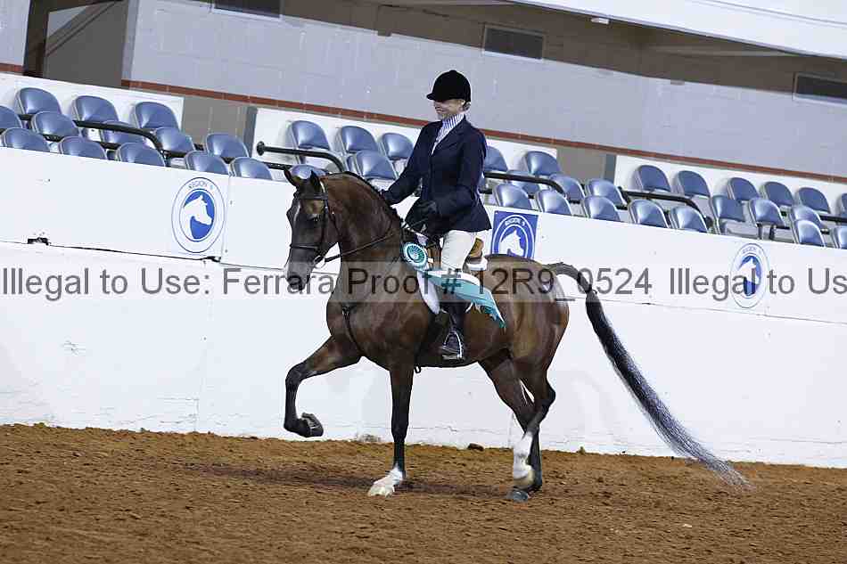 Proof Number 12r9_0524