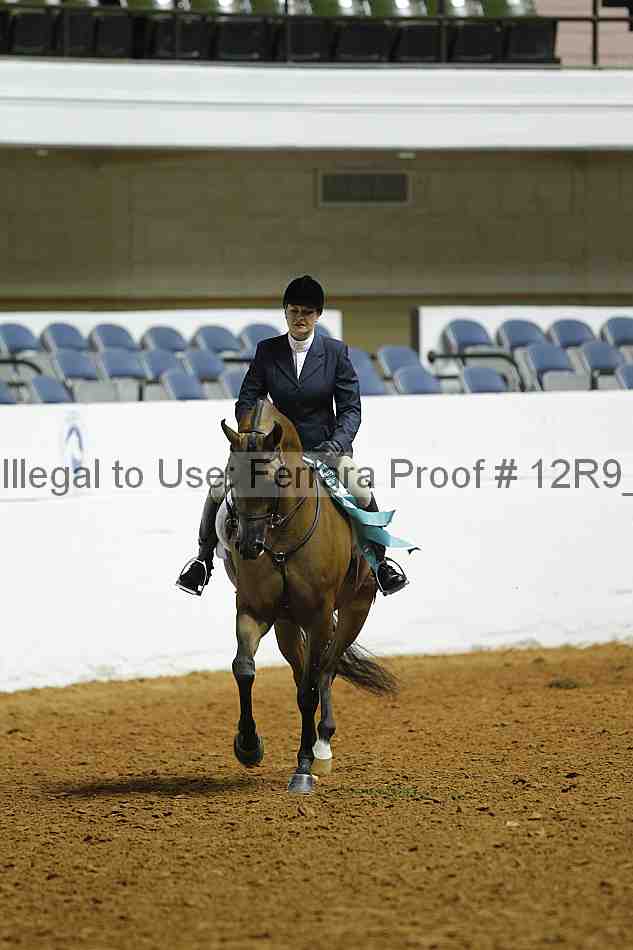 Proof Number 12r9_0526