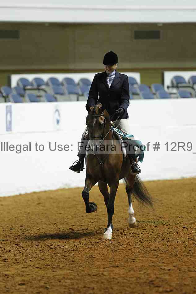 Proof Number 12r9_0530