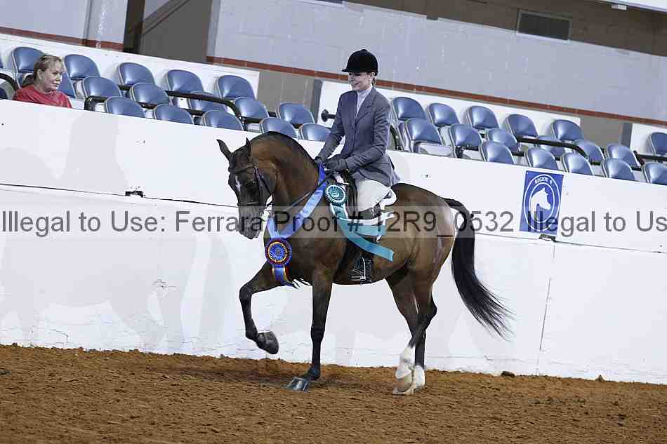 Proof Number 12r9_0532