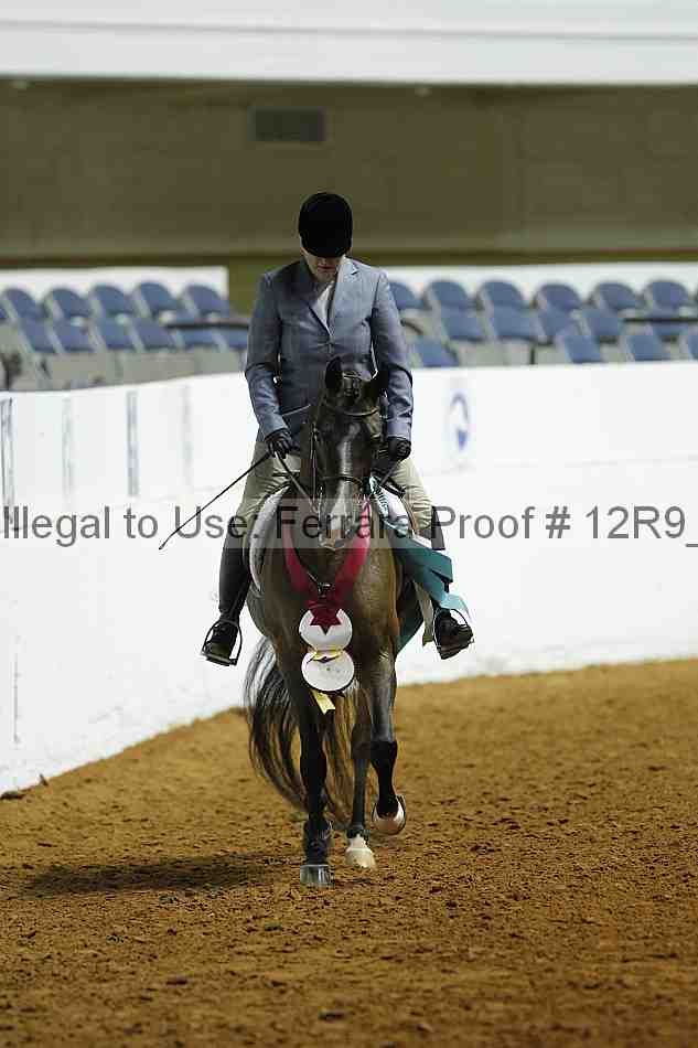 Proof Number 12r9_0535