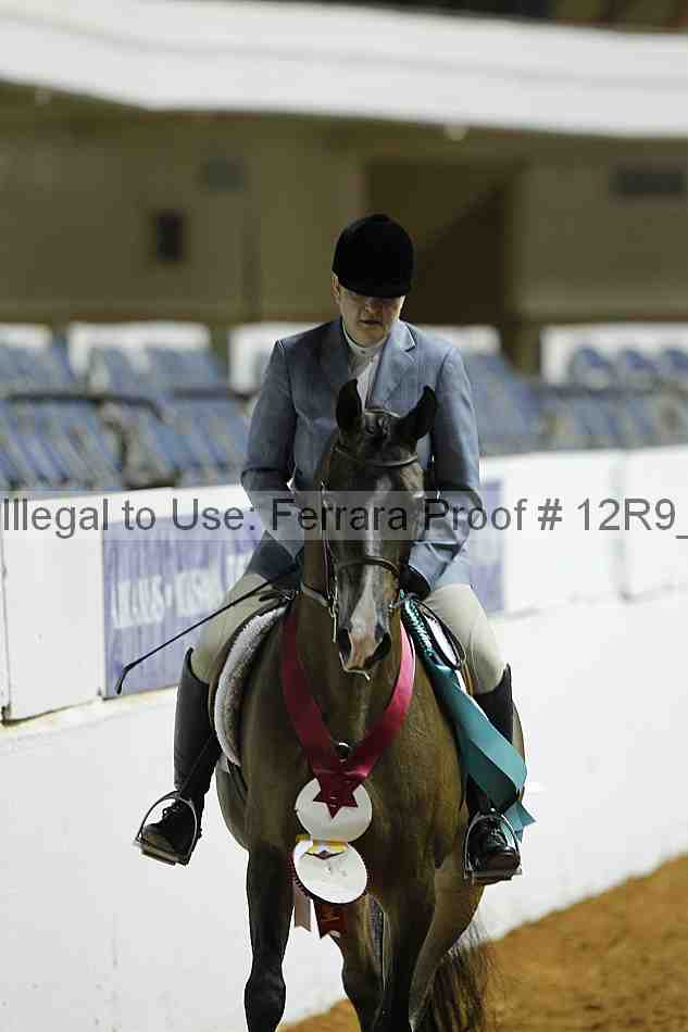 Proof Number 12r9_0536