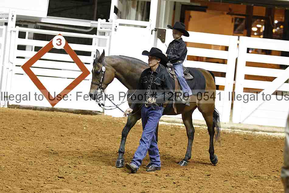 Proof Number 12r9_0541