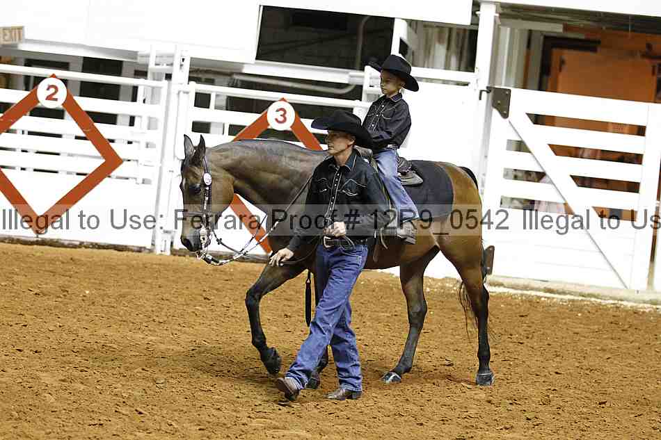 Proof Number 12r9_0542