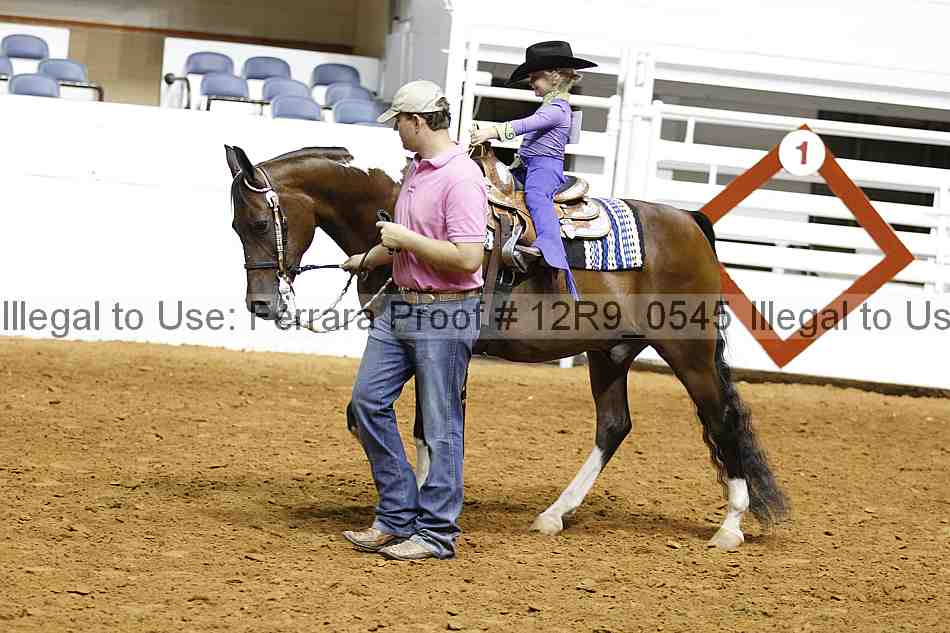 Proof Number 12r9_0545
