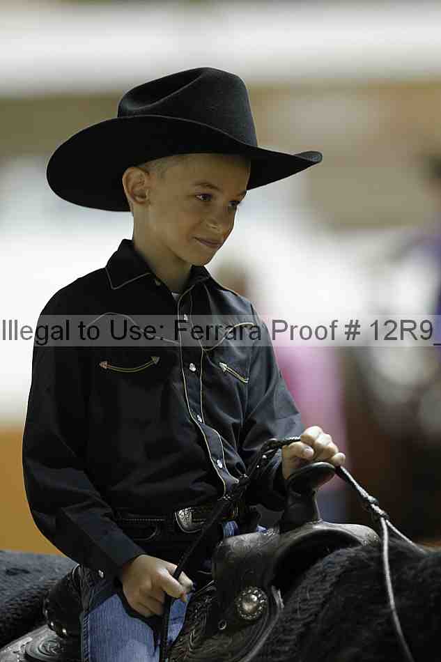 Proof Number 12r9_0560