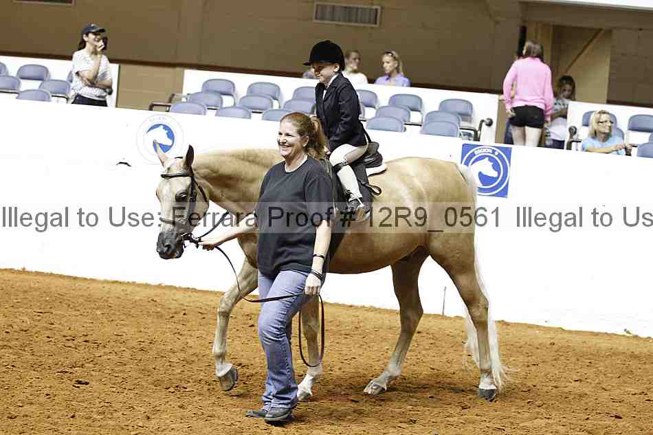 Proof Number 12r9_0561