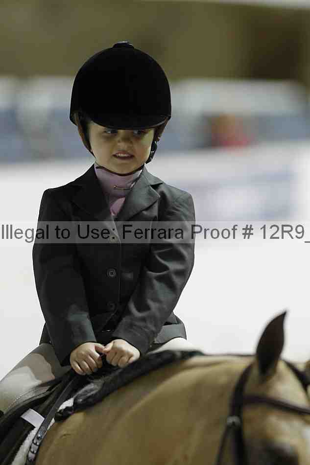 Proof Number 12r9_0589