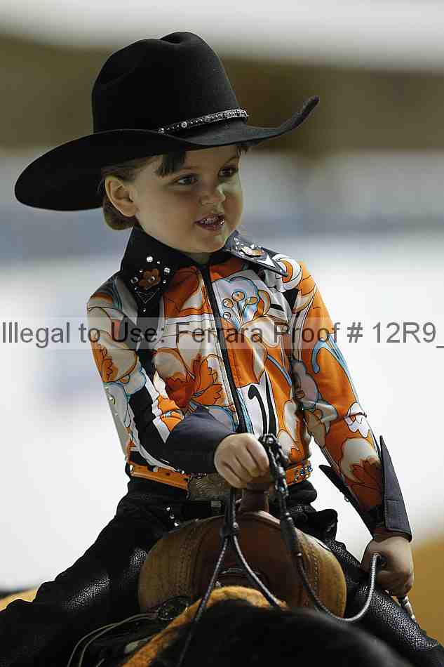 Proof Number 12r9_0597