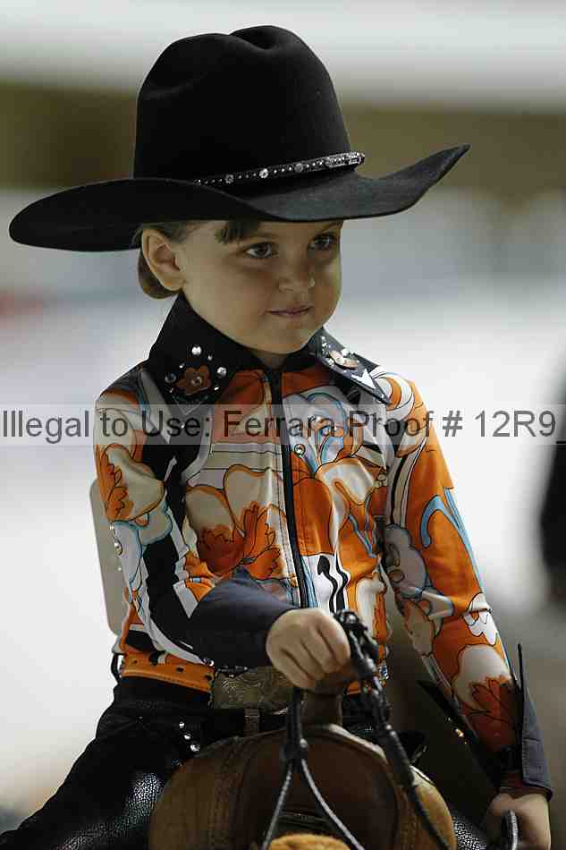 Proof Number 12r9_0599