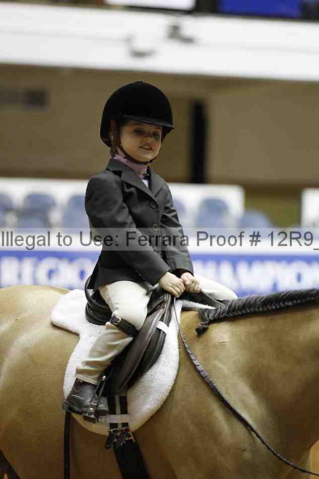 Proof Number 12r9_0609