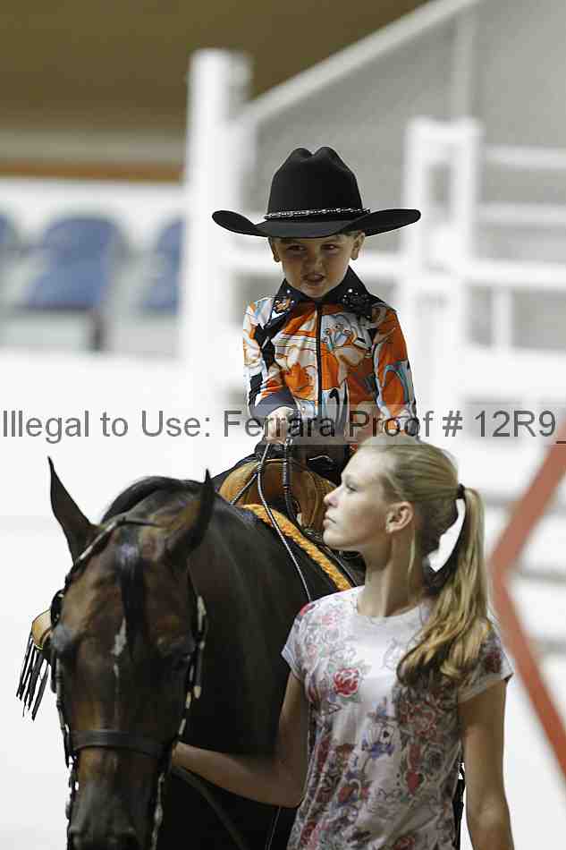 Proof Number 12r9_0617
