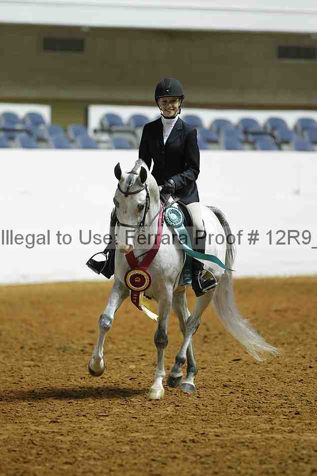 Proof Number 12r9_0699