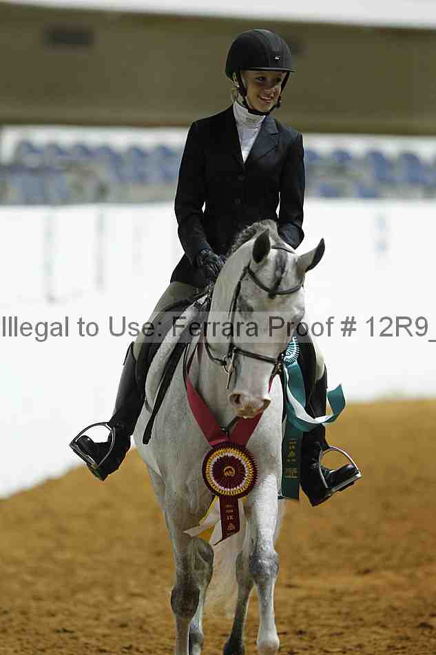 Proof Number 12r9_0701