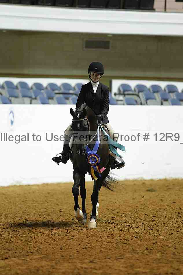 Proof Number 12r9_0704
